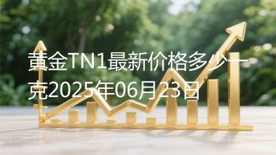 黄金TN1最新价格多少一克2025年06月23日