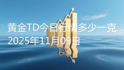 黄金TD今日行情多少一克2025年11月09日
