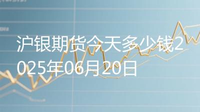 沪银期货今天多少钱2025年06月20日