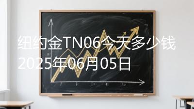 纽约金TN06今天多少钱2025年06月05日