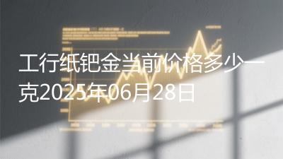 工行纸钯金当前价格多少一克2025年06月28日