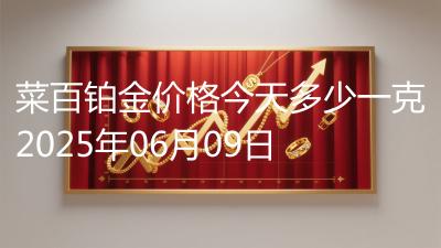 菜百铂金价格今天多少一克2025年06月09日