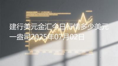 建行美元金汇今日行情多少美元一盎司2025年07月02日