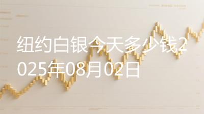 纽约白银今天多少钱2025年08月02日