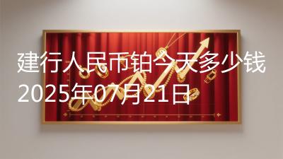 建行人民币铂今天多少钱2025年07月21日