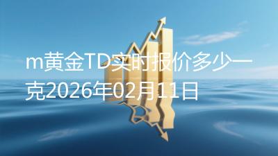 m黄金TD实时报价多少一克2026年02月11日