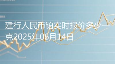 建行人民币铂实时报价多少一克2025年06月14日
