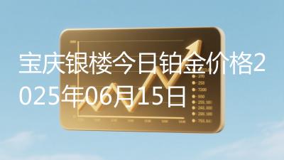 宝庆银楼今日铂金价格2025年06月15日