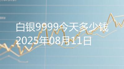 白银9999今天多少钱2025年08月11日