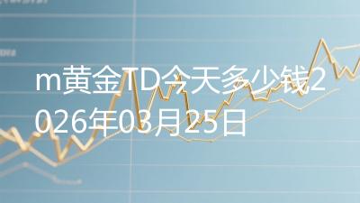 m黄金TD今天多少钱2026年03月25日