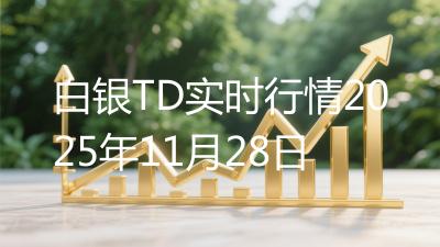白银TD实时行情2025年11月28日