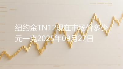 纽约金TN12现在市场价多少元一克2025年09月27日