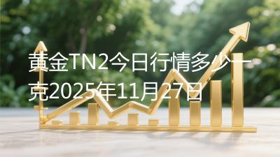 黄金TN2今日行情多少一克2025年11月27日