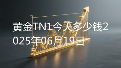 黄金TN1今天多少钱2025年06月19日