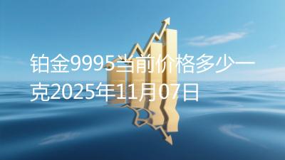 铂金9995当前价格多少一克2025年11月07日