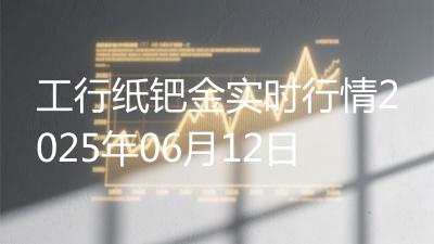工行纸钯金实时行情2025年06月12日