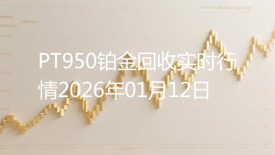 PT950铂金回收实时行情2026年01月12日