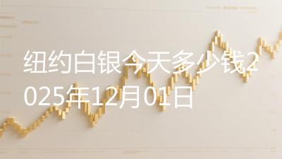 纽约白银今天多少钱2025年12月01日