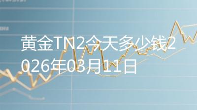 黄金TN2今天多少钱2026年03月11日