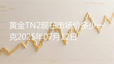 黄金TN2现在市场价多少一克2025年07月12日