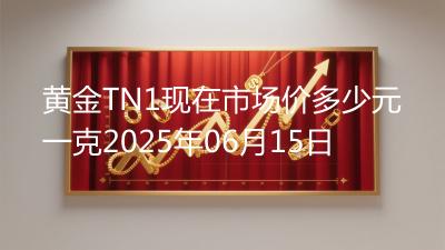 黄金TN1现在市场价多少元一克2025年06月15日