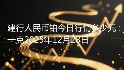 建行人民币铂今日行情多少元一克2025年12月28日
