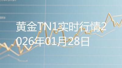 黄金TN1实时行情2026年01月28日