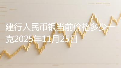 建行人民币银当前价格多少一克2025年11月25日