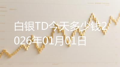 白银TD今天多少钱2026年01月01日