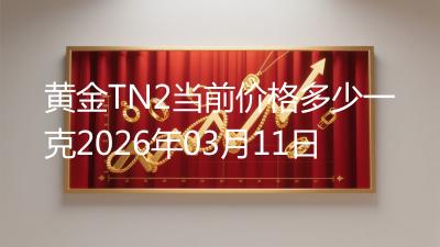 黄金TN2当前价格多少一克2026年03月11日