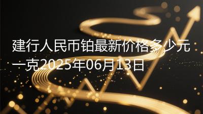 建行人民币铂最新价格多少元一克2025年06月13日