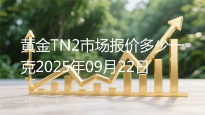 黄金TN2市场报价多少一克2025年09月22日