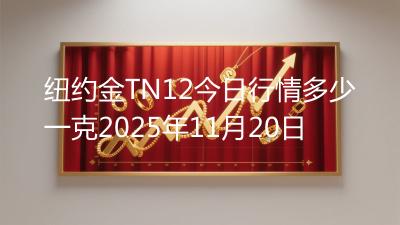 纽约金TN12今日行情多少一克2025年11月20日