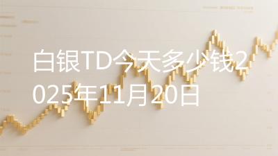 白银TD今天多少钱2025年11月20日