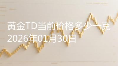 黄金TD当前价格多少一克2026年01月30日
