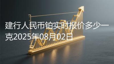 建行人民币铂实时报价多少一克2025年08月02日