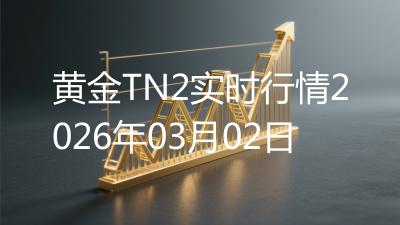 黄金TN2实时行情2026年03月02日