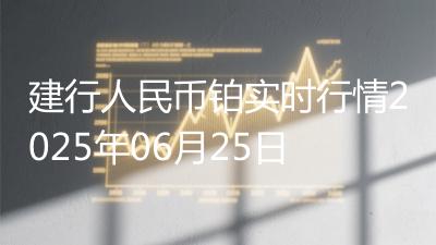 建行人民币铂实时行情2025年06月25日