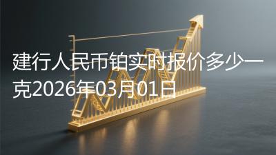 建行人民币铂实时报价多少一克2026年03月01日