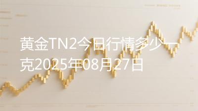 黄金TN2今日行情多少一克2025年08月27日
