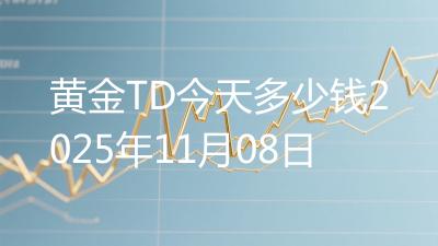 黄金TD今天多少钱2025年11月08日