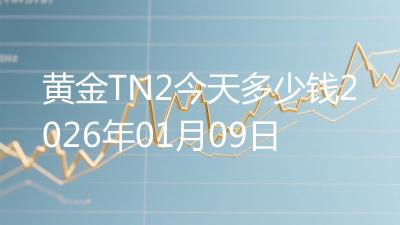 黄金TN2今天多少钱2026年01月09日