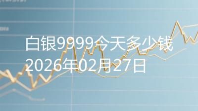 白银9999今天多少钱2026年02月27日