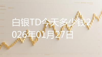 白银TD今天多少钱2026年01月27日
