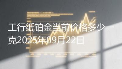工行纸铂金当前价格多少一克2025年09月22日