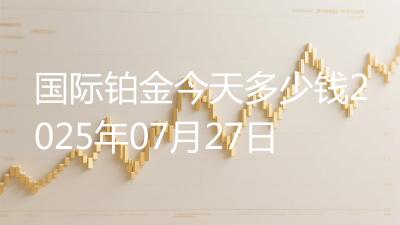 国际铂金今天多少钱2025年07月27日