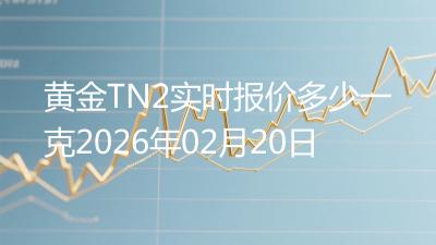 黄金TN2实时报价多少一克2026年02月20日