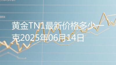 黄金TN1最新价格多少一克2025年06月14日