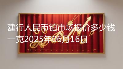 建行人民币铂市场报价多少钱一克2025年06月16日
