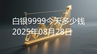 白银9999今天多少钱2025年08月28日